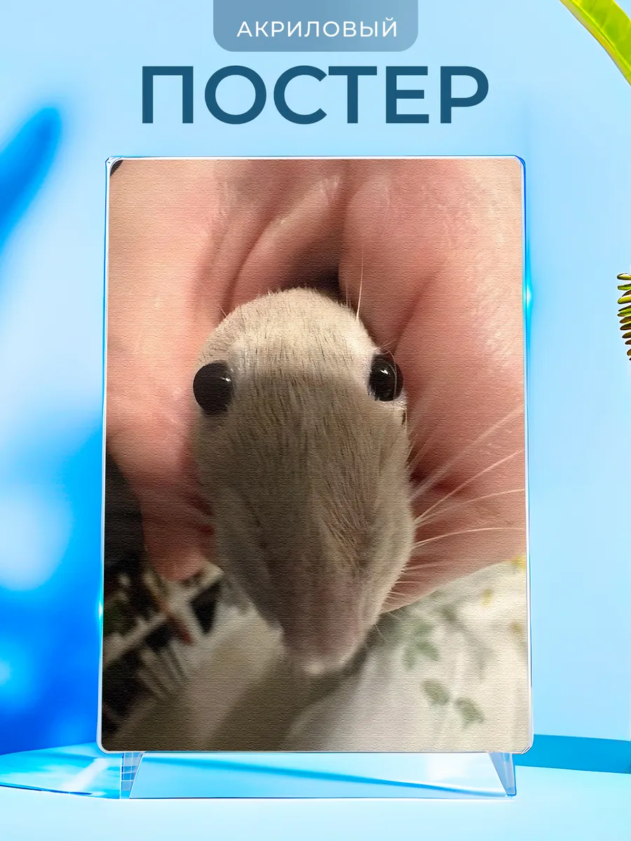 Изображение товара 1 из 4