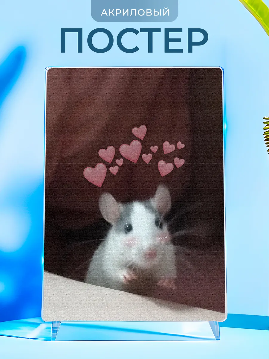 Изображение товара 1 из 4