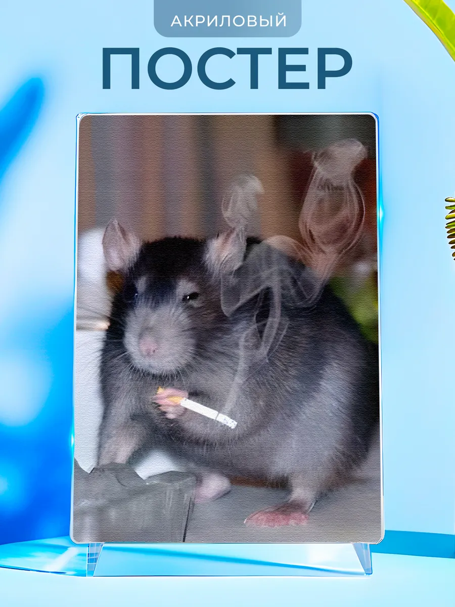 Изображение товара 1 из 4