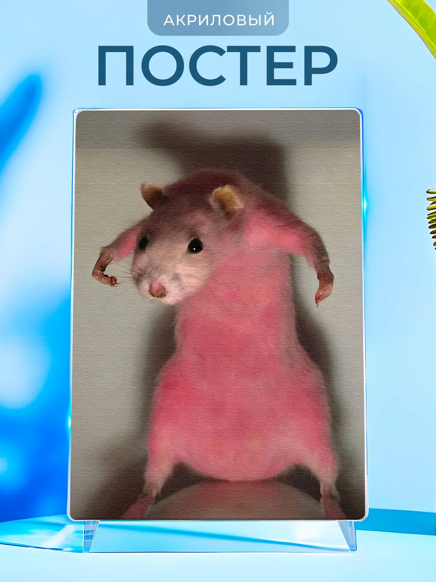 Изображение товара 1 из 4