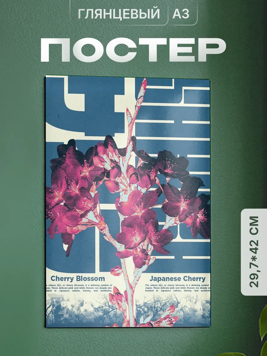 Изображение товара 1 из 4