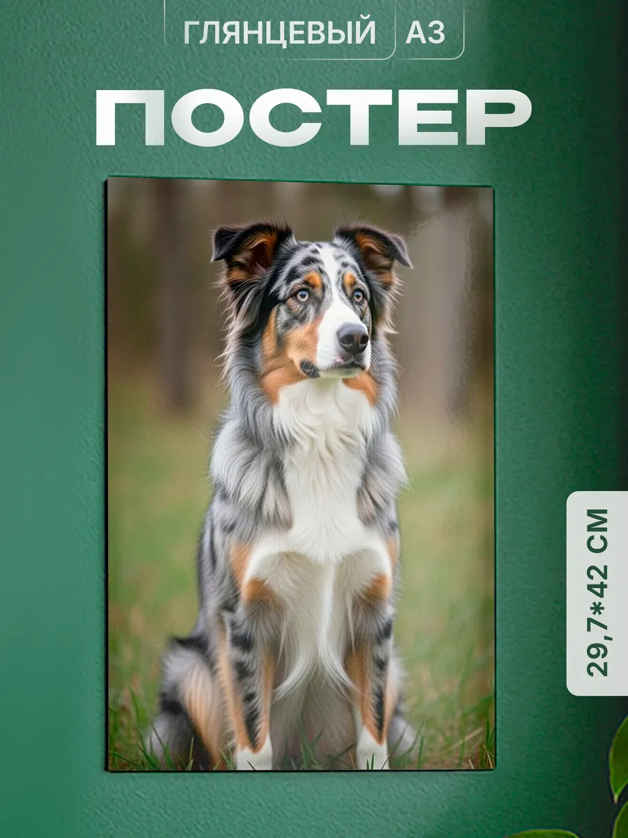 Изображение товара 1 из 4