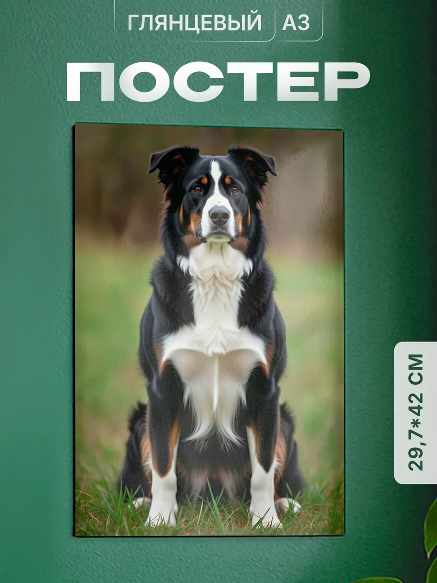 Изображение товара 1 из 4