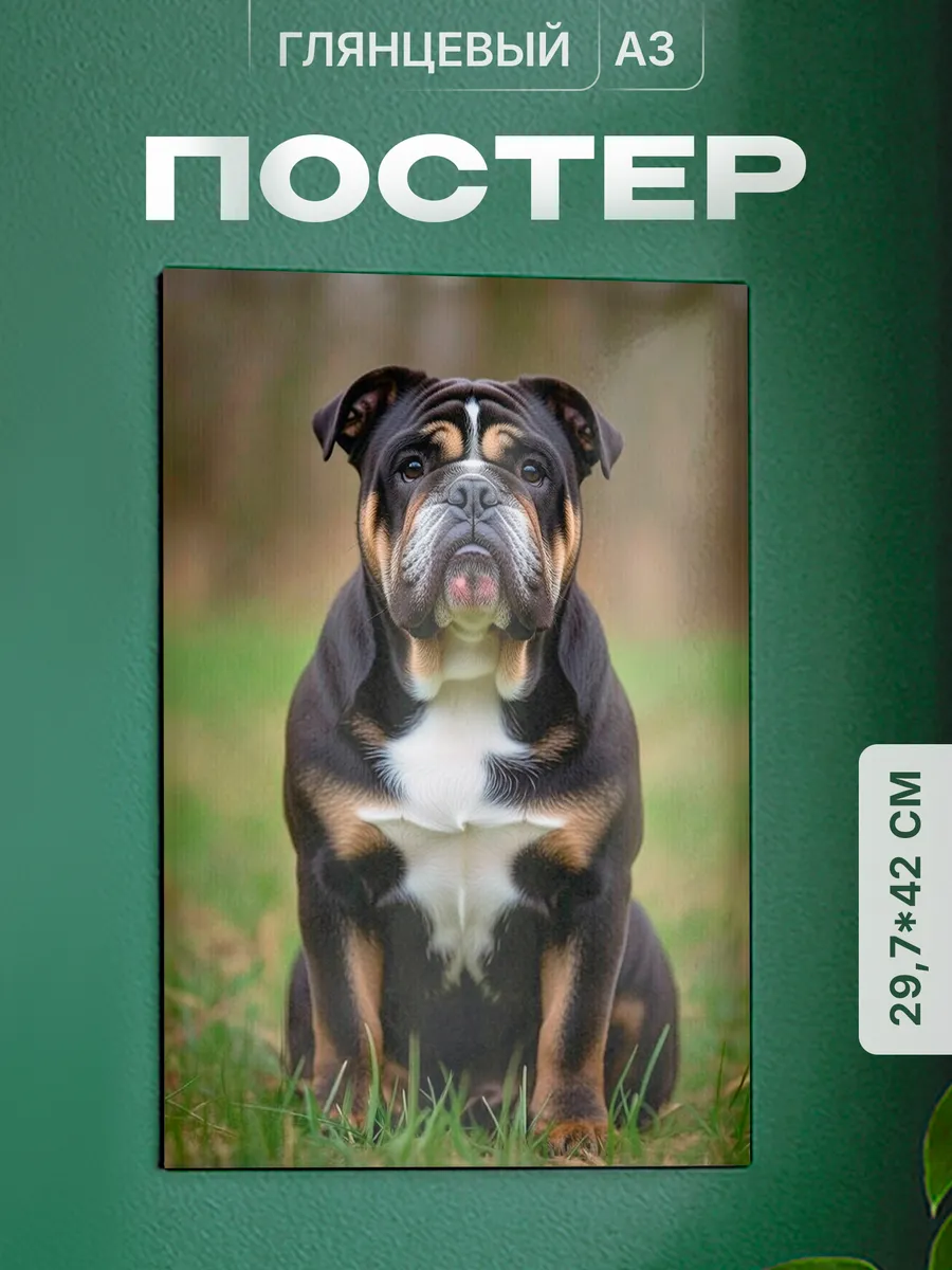Изображение товара 1 из 4