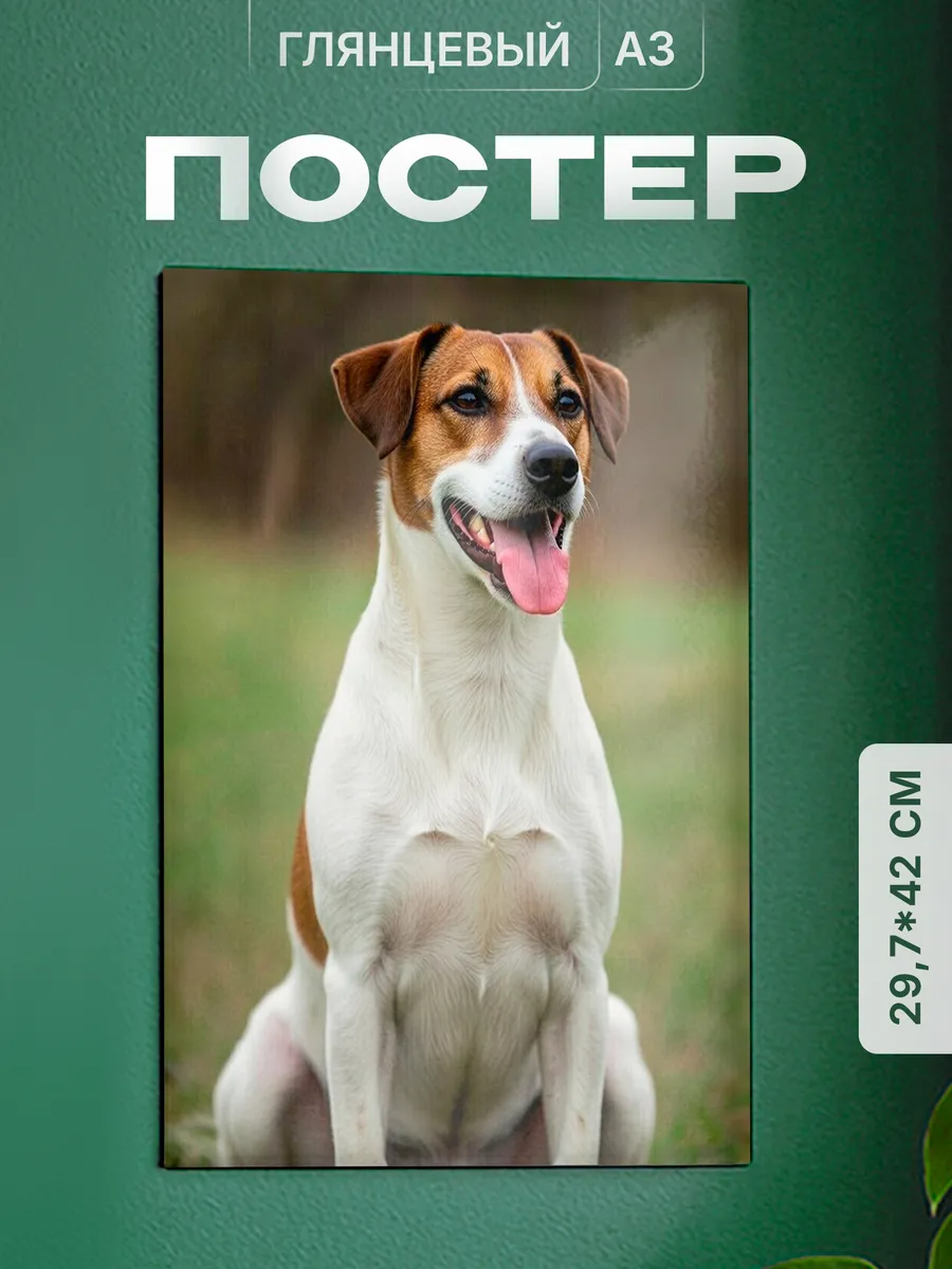 Изображение товара 1 из 4