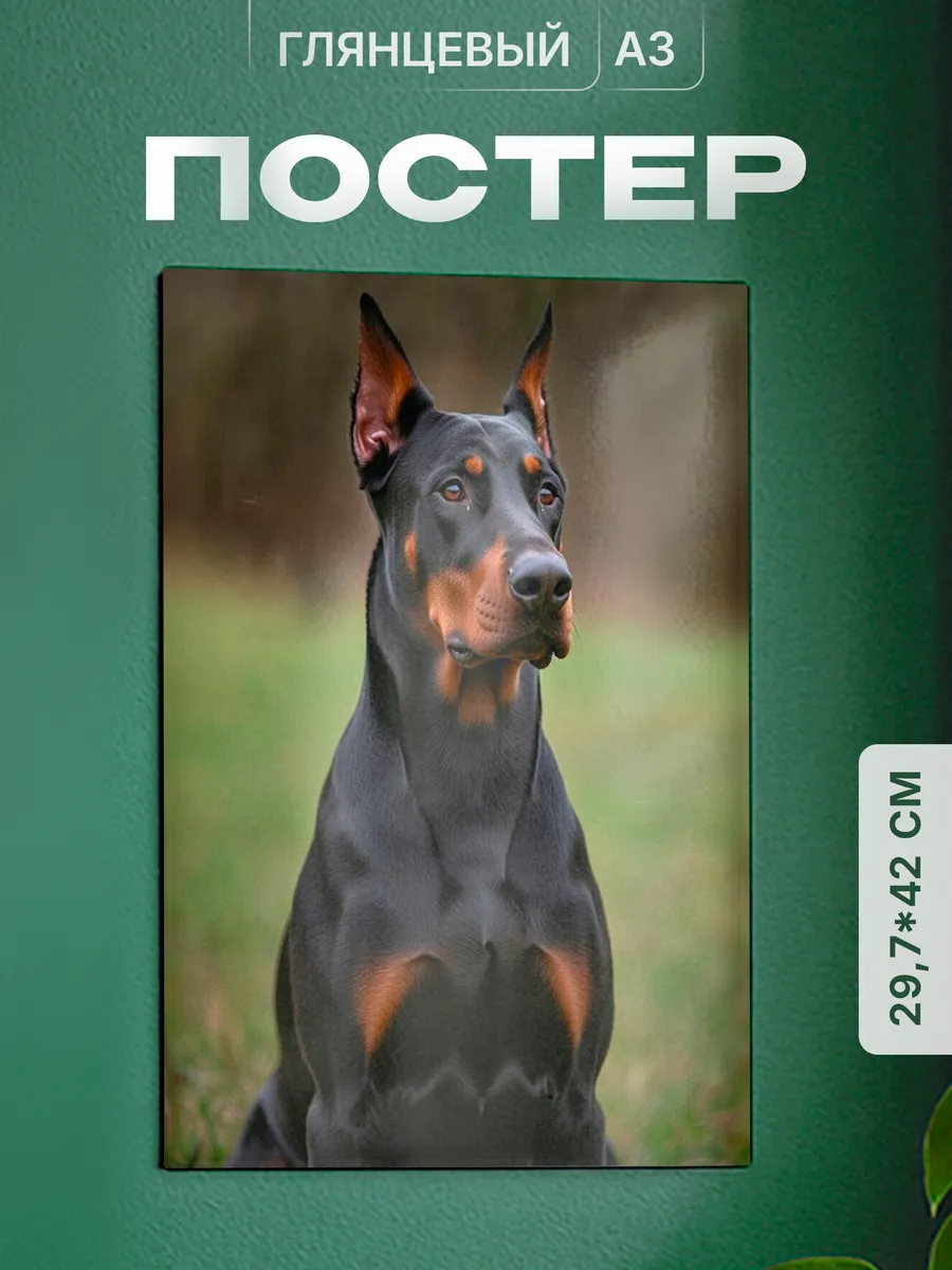 Изображение товара 1 из 4