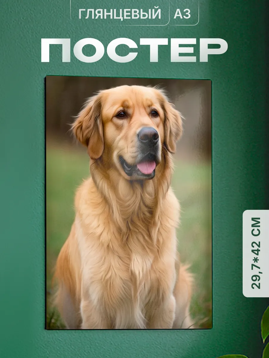 Изображение товара 1 из 4