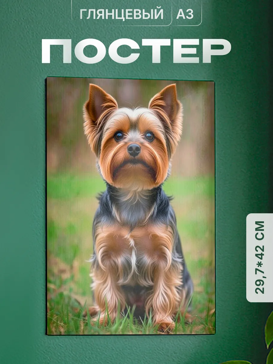 Изображение товара 1 из 4