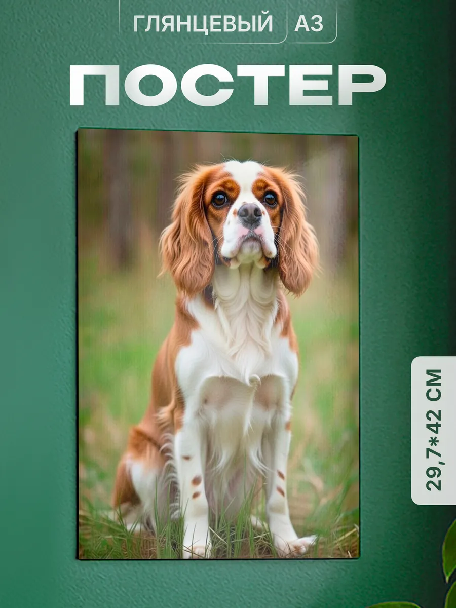 Изображение товара 1 из 4