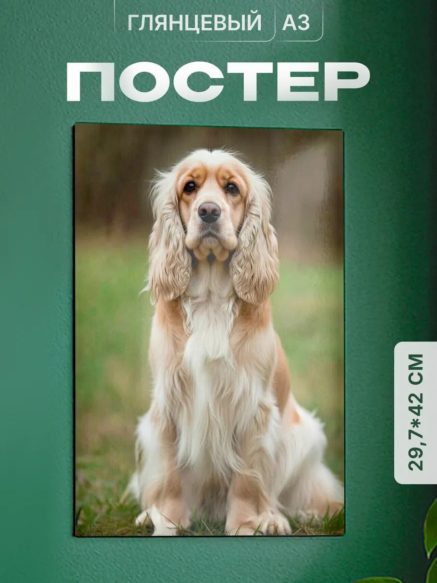 Изображение товара 1 из 4