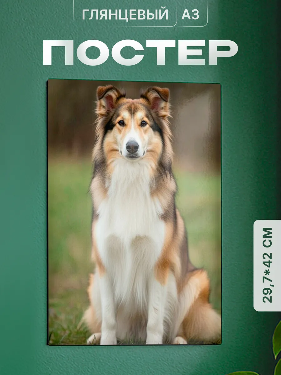 Изображение товара 1 из 4