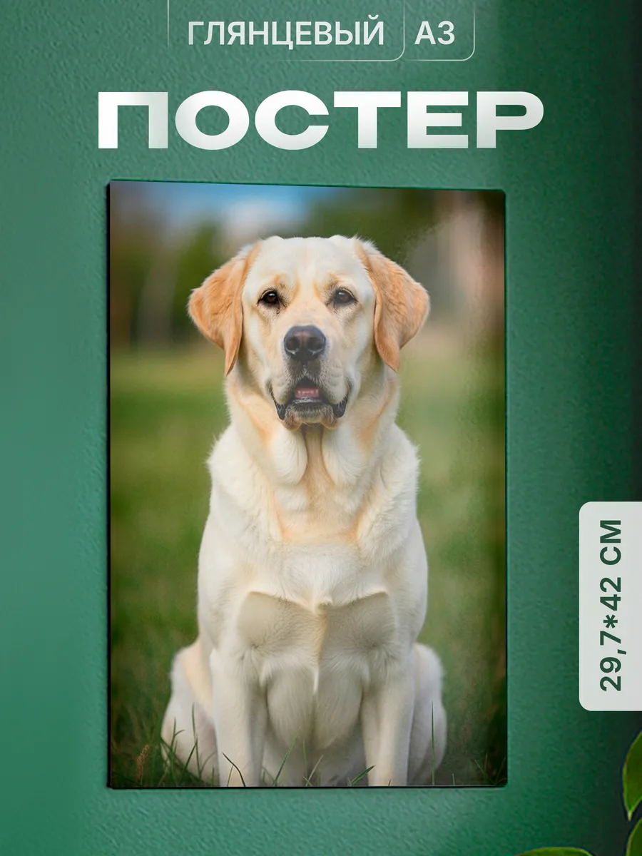 Изображение товара 1 из 4