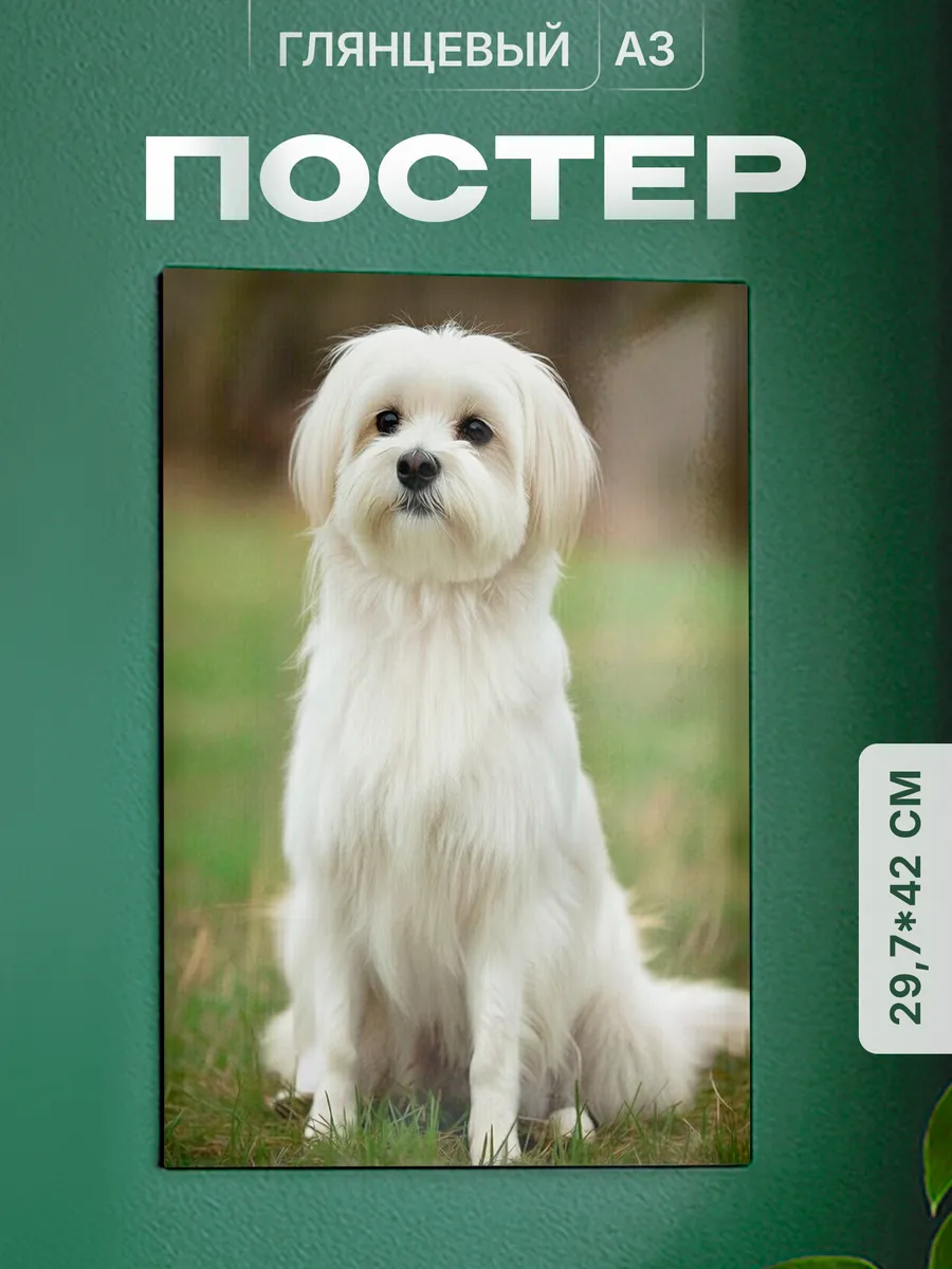 Изображение товара 1 из 4