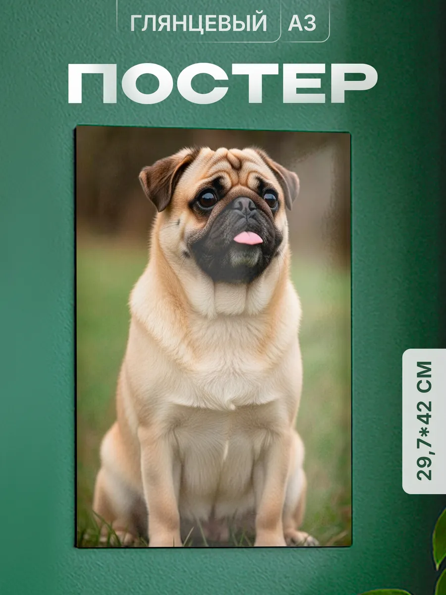 Изображение товара 1 из 4