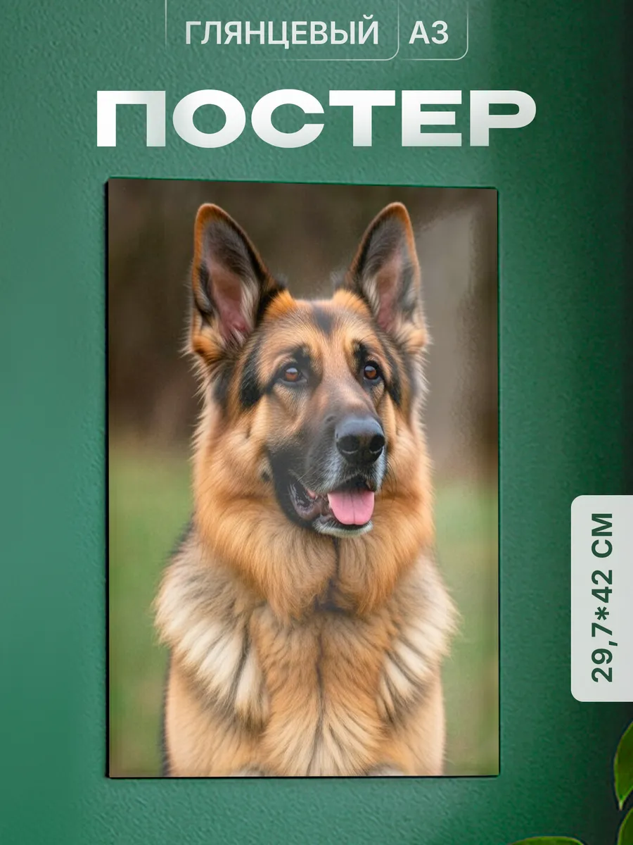 Изображение товара 1 из 4