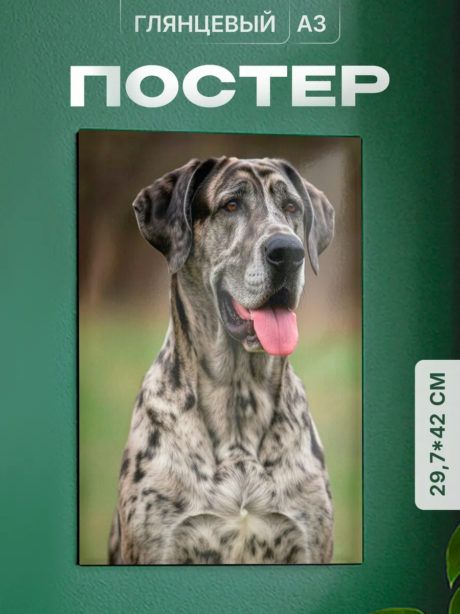 Изображение товара 1 из 4