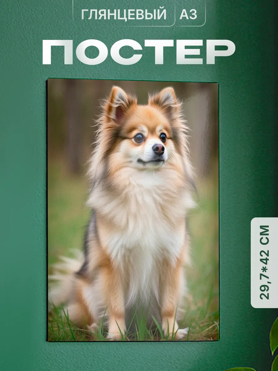 Изображение товара 1 из 4