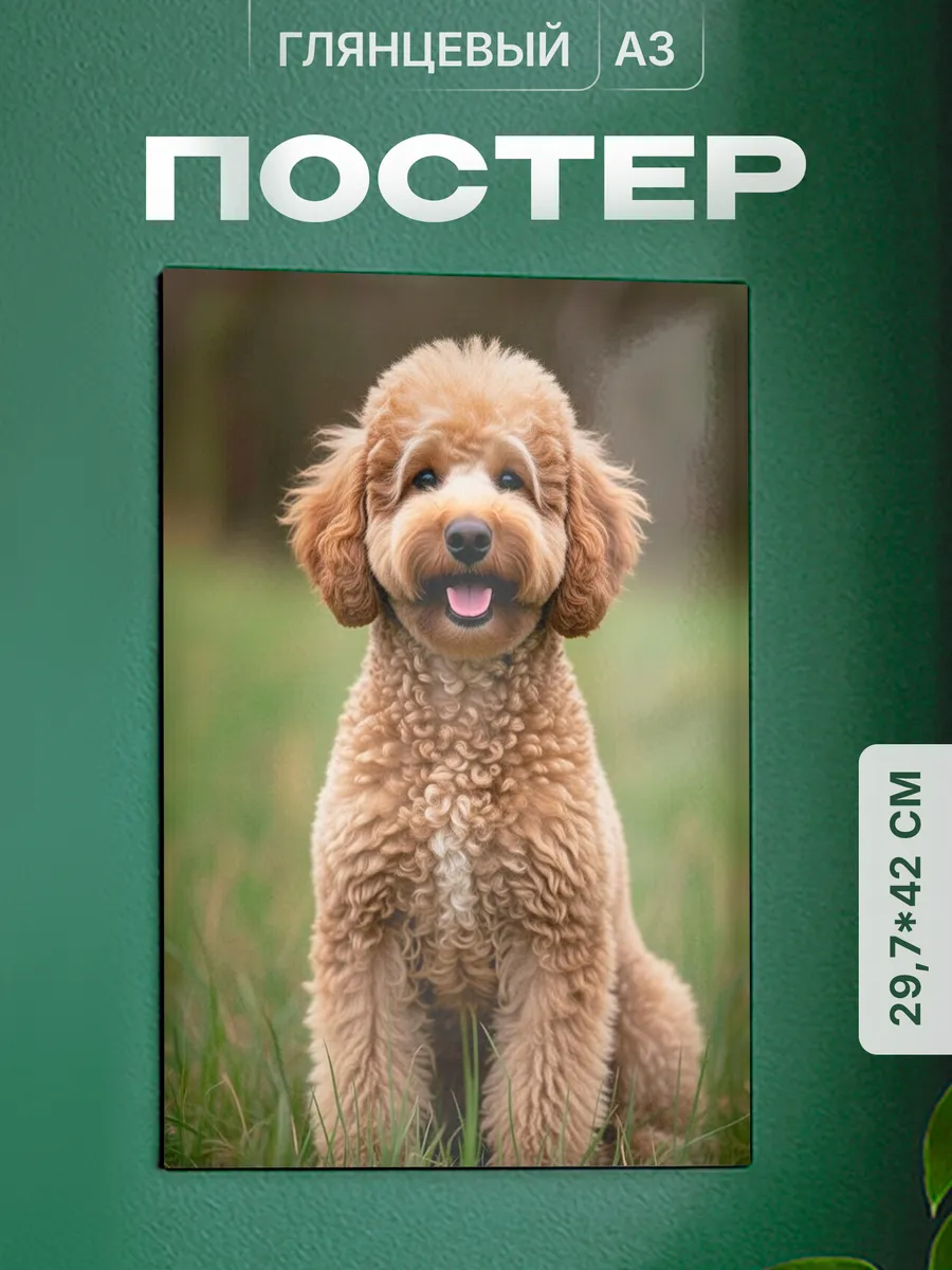 Изображение товара 1 из 4