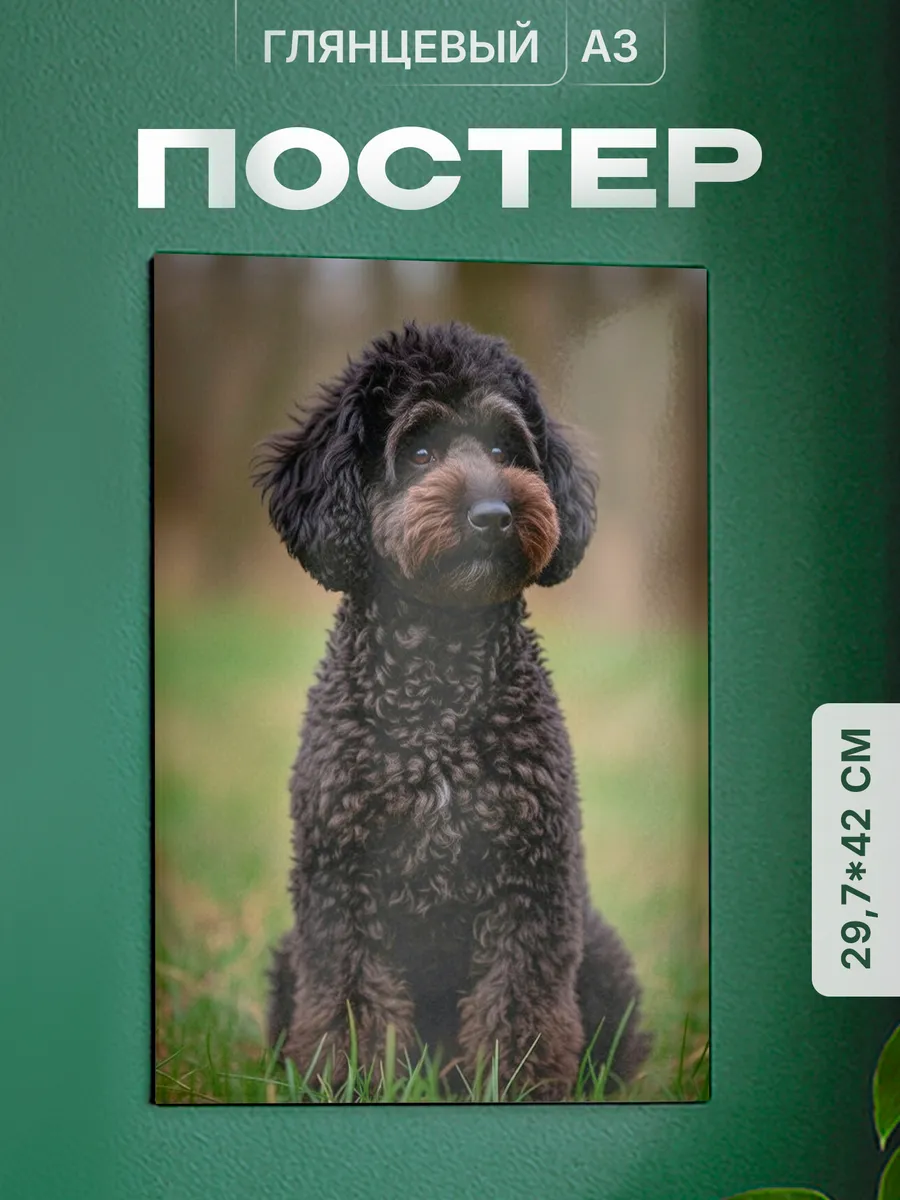 Изображение товара 1 из 4