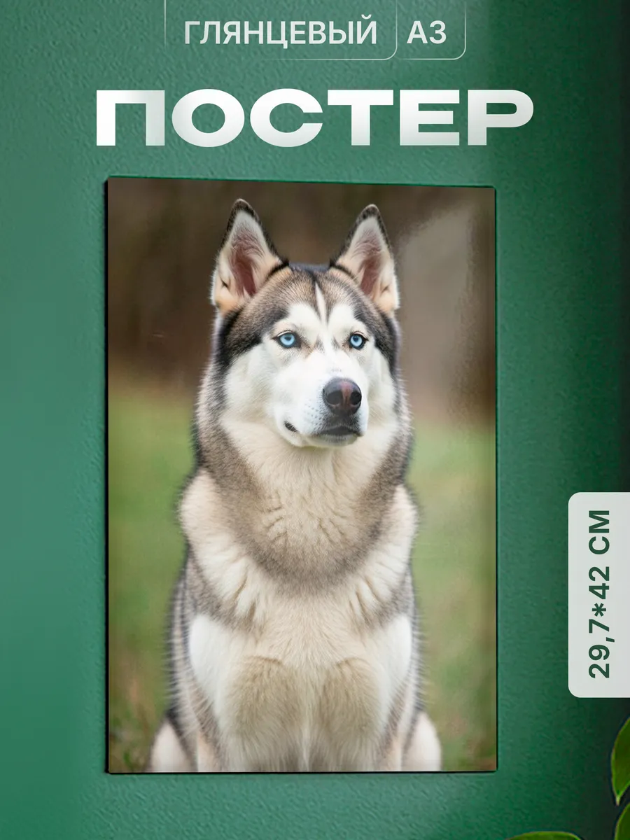 Изображение товара 1 из 4