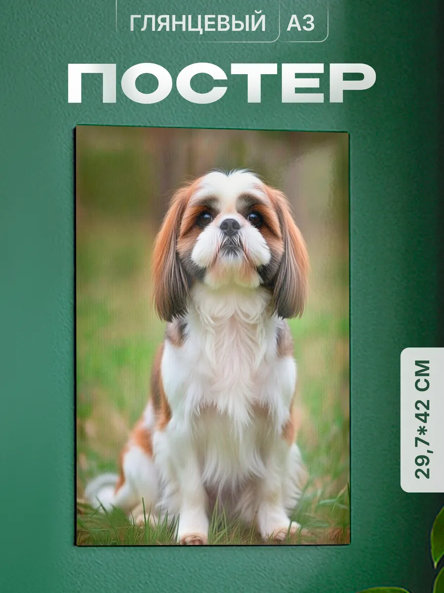 Изображение товара 1 из 4