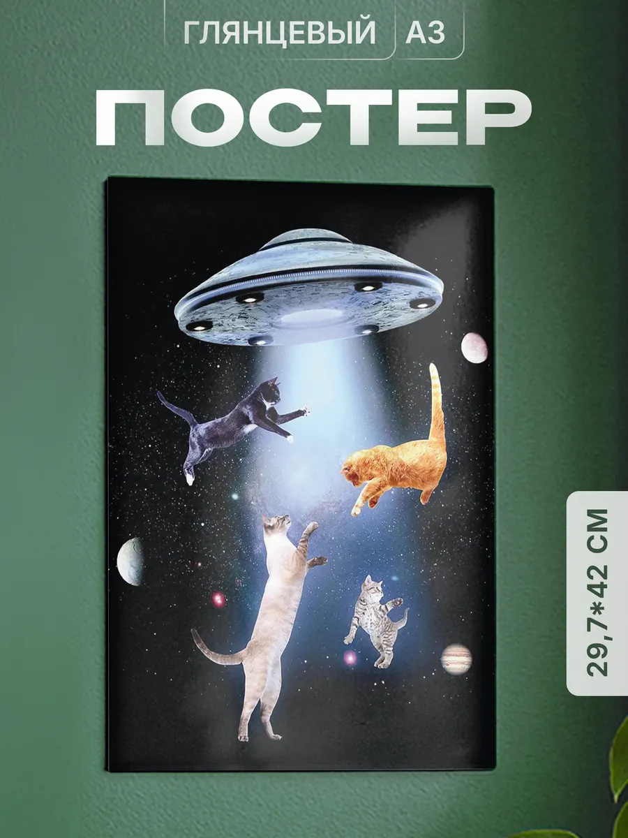 Изображение товара 1 из 4