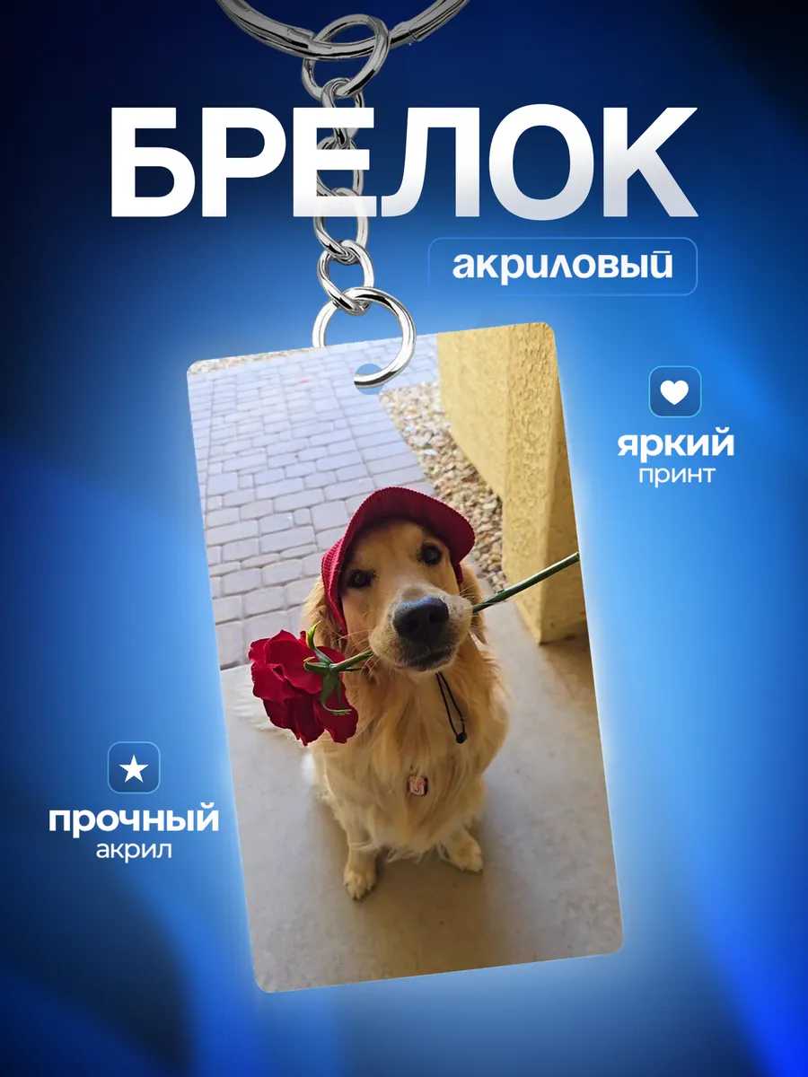 Изображение товара 1 из 4