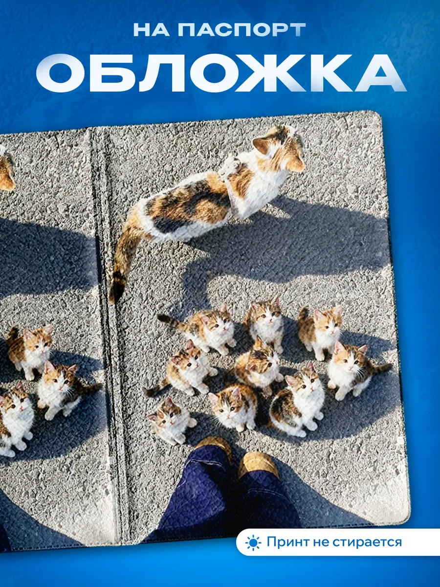 Изображение товара 1 из 5