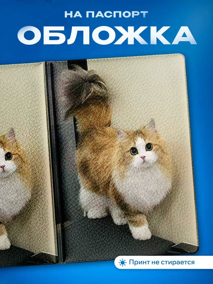 Изображение товара 1 из 5