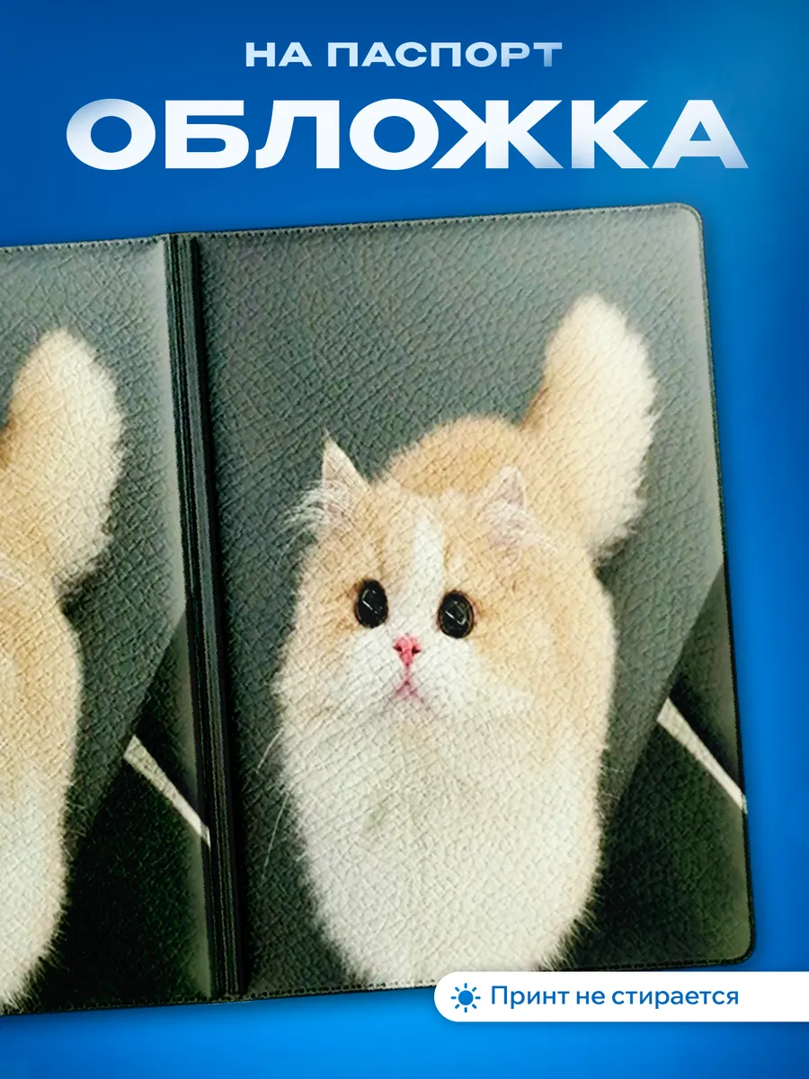 Изображение товара 1 из 5