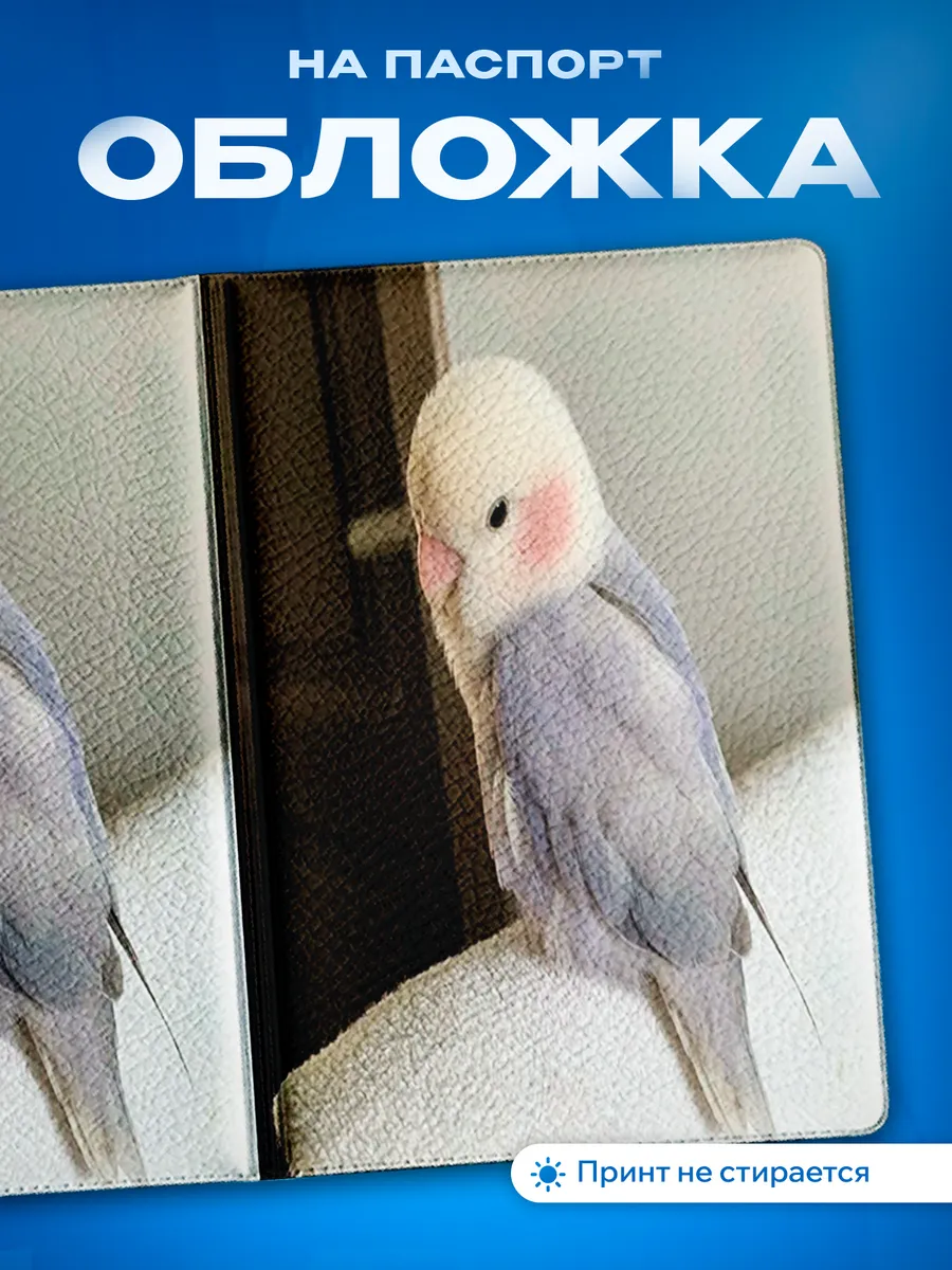 Изображение товара 1 из 5