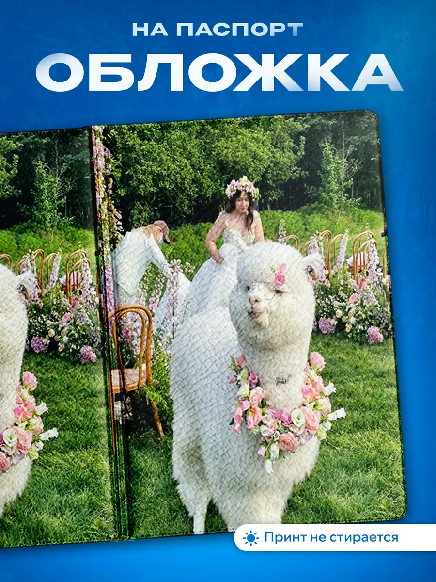 Изображение товара 1 из 5