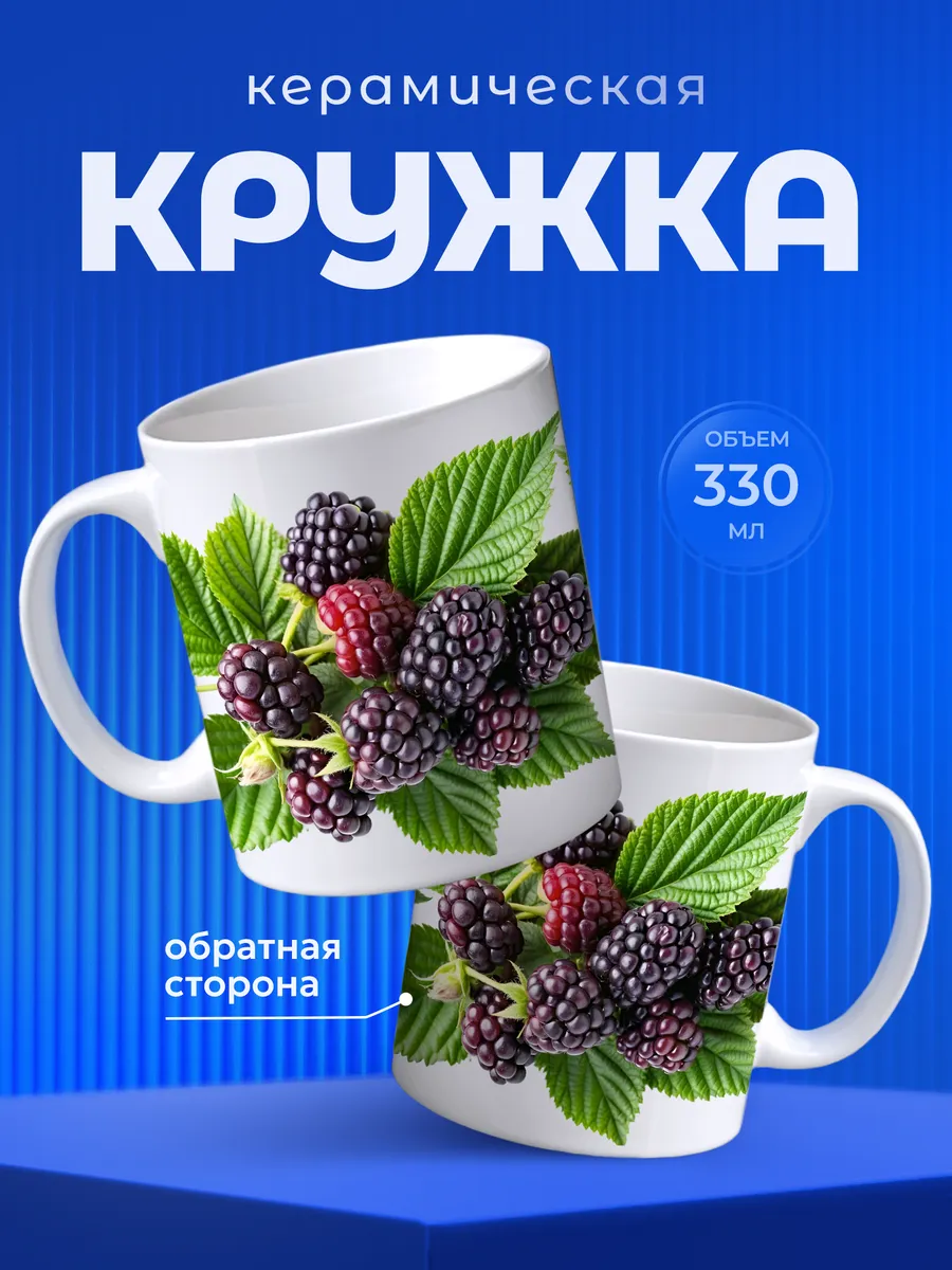 Изображение товара 1 из 6