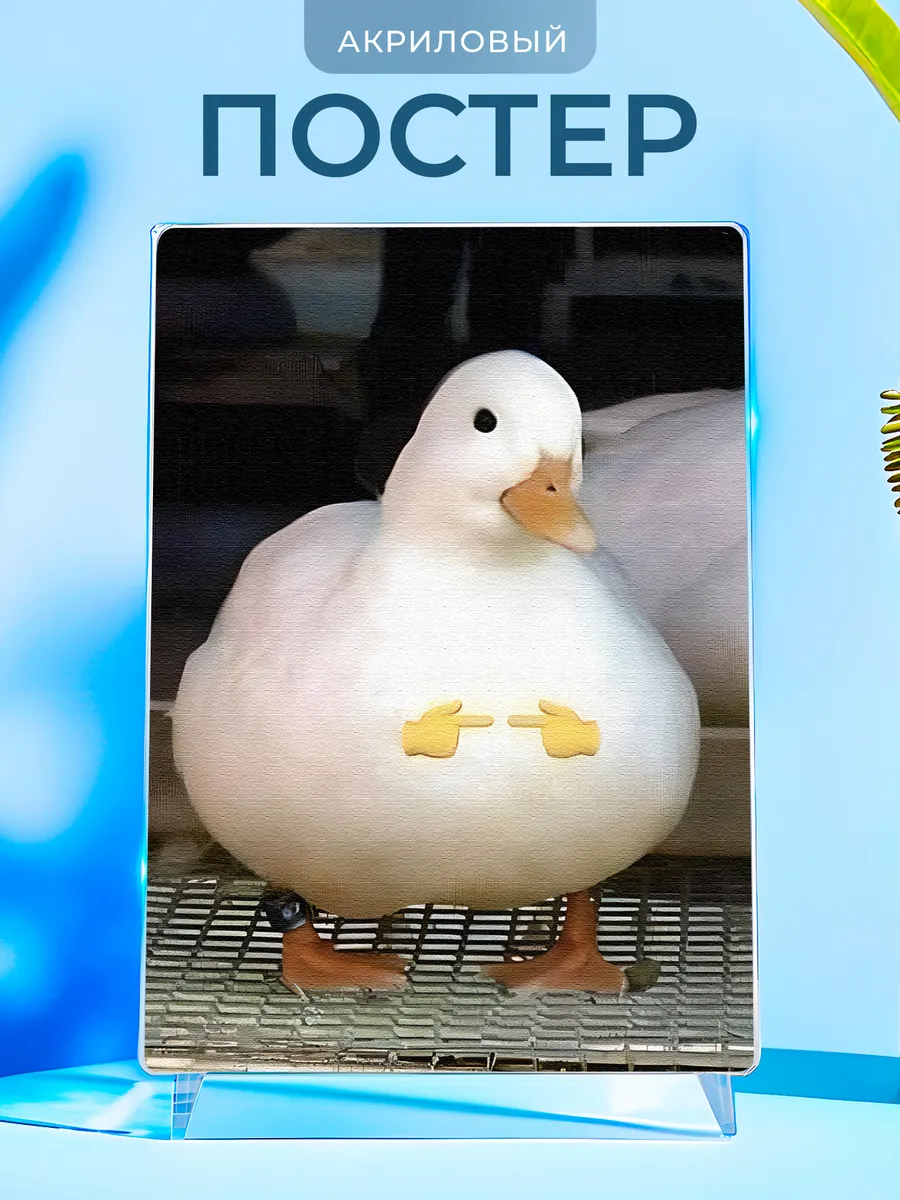 Изображение товара 1 из 4