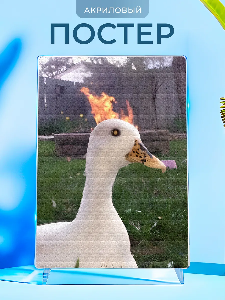 Изображение товара 1 из 4