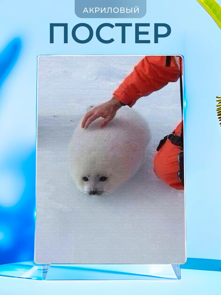 Изображение товара 1 из 4