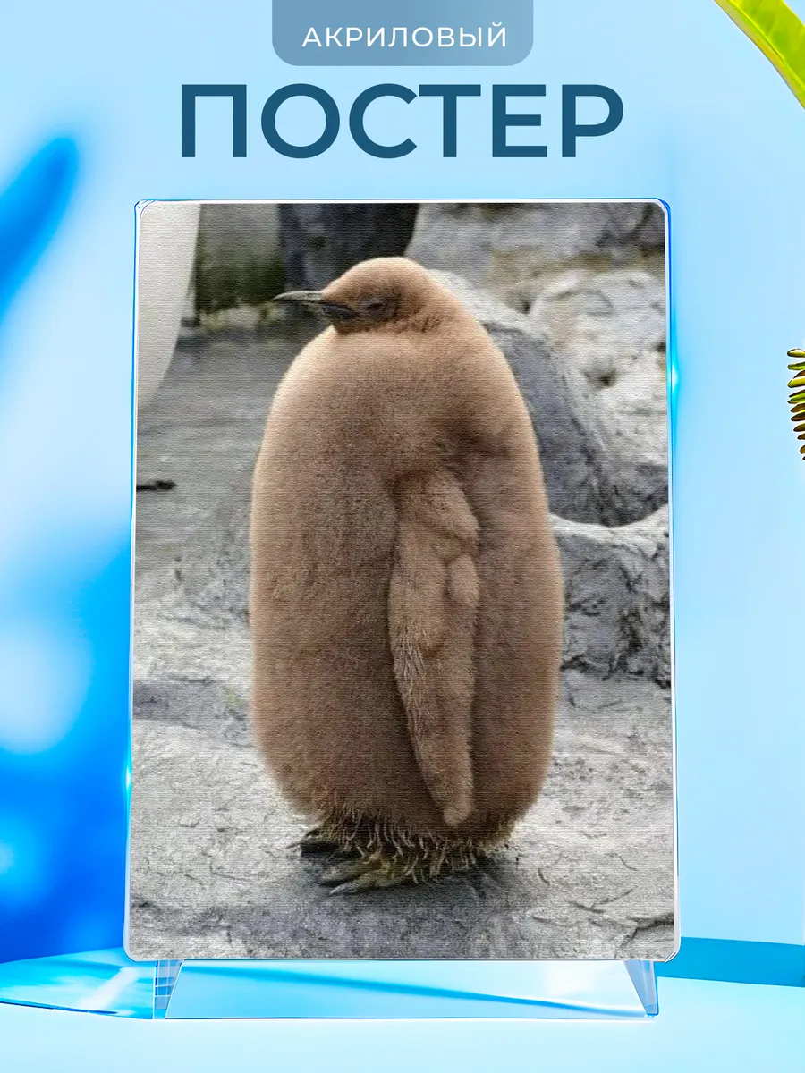 Изображение товара 1 из 4