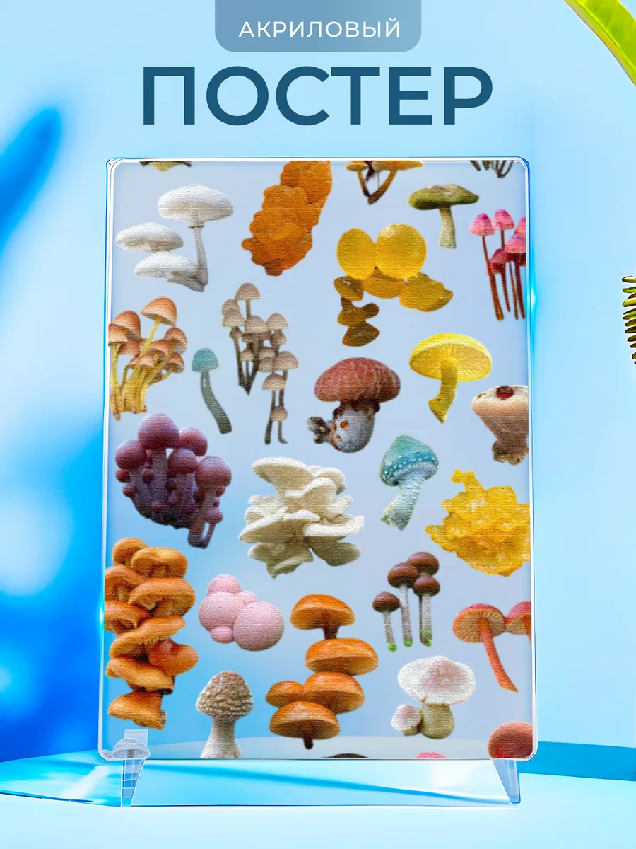 Изображение товара 1 из 4