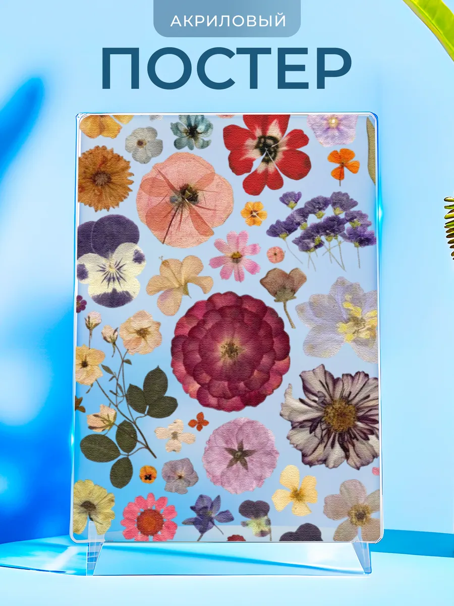 Изображение товара 1 из 4