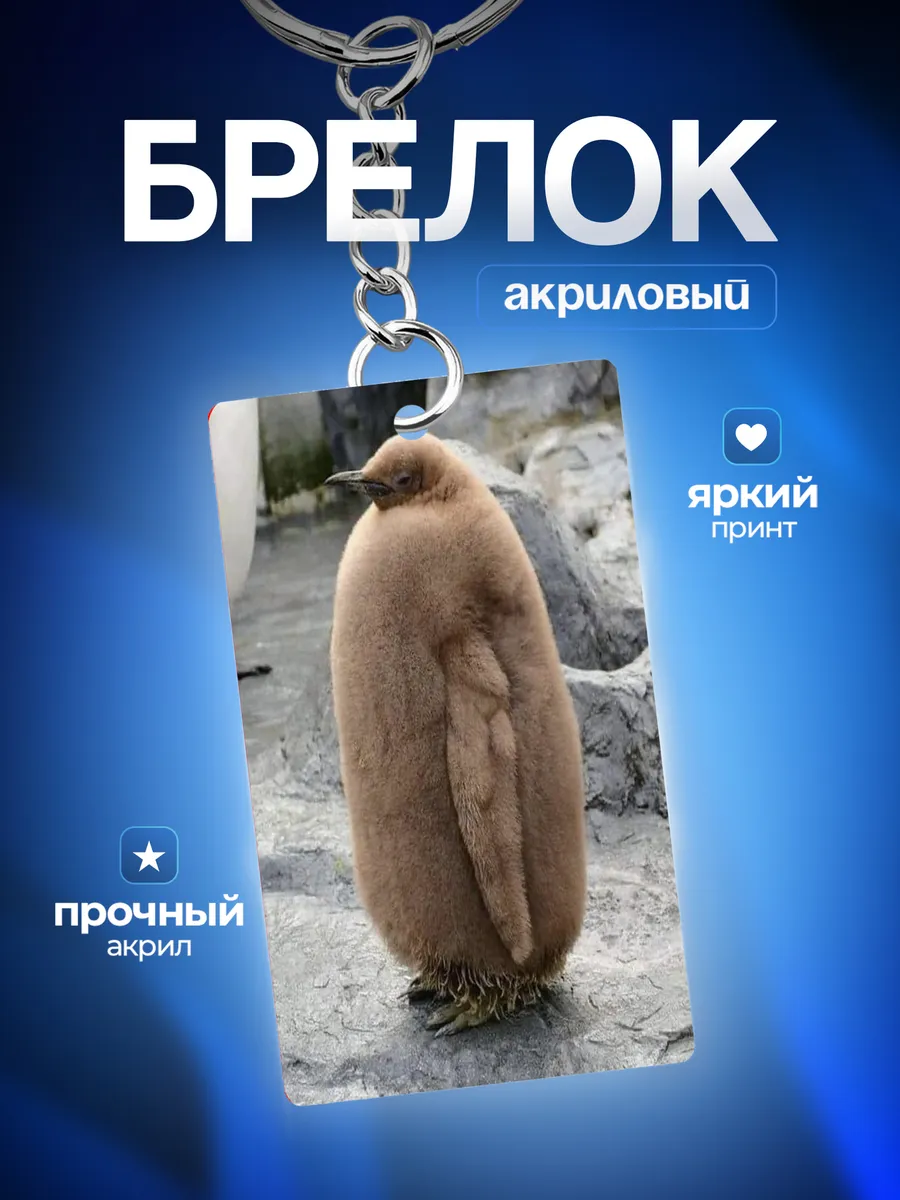 Изображение товара 1 из 4