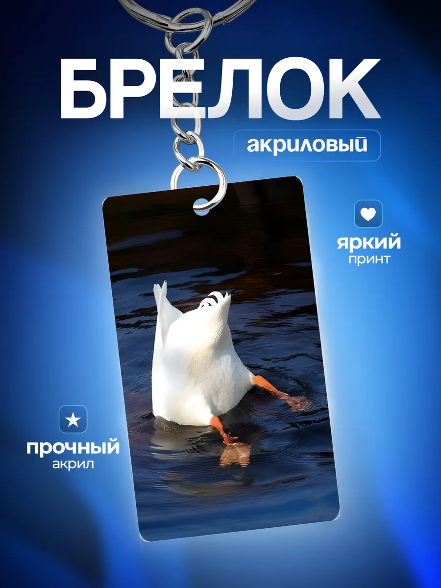 Изображение товара 1 из 4