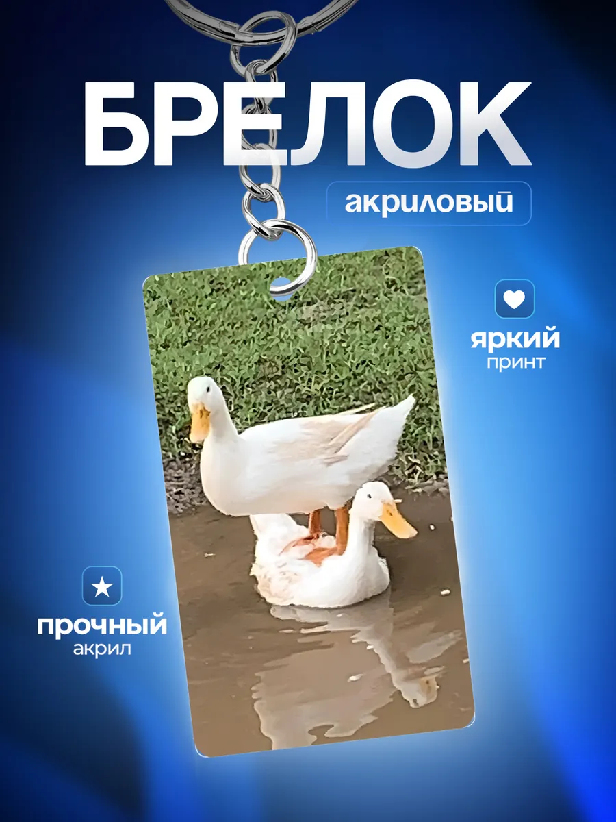 Изображение товара 1 из 4