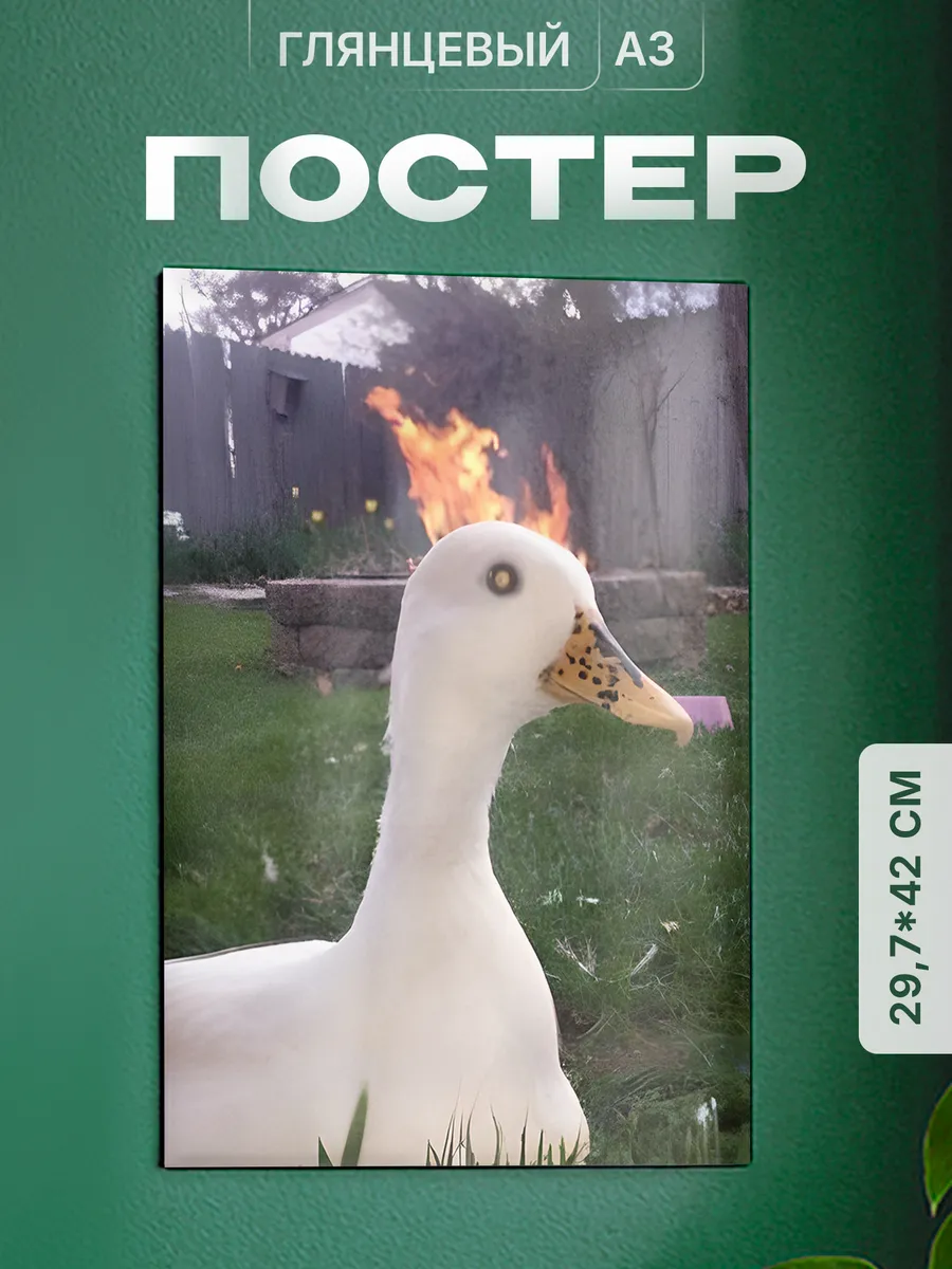 Изображение товара 1 из 4