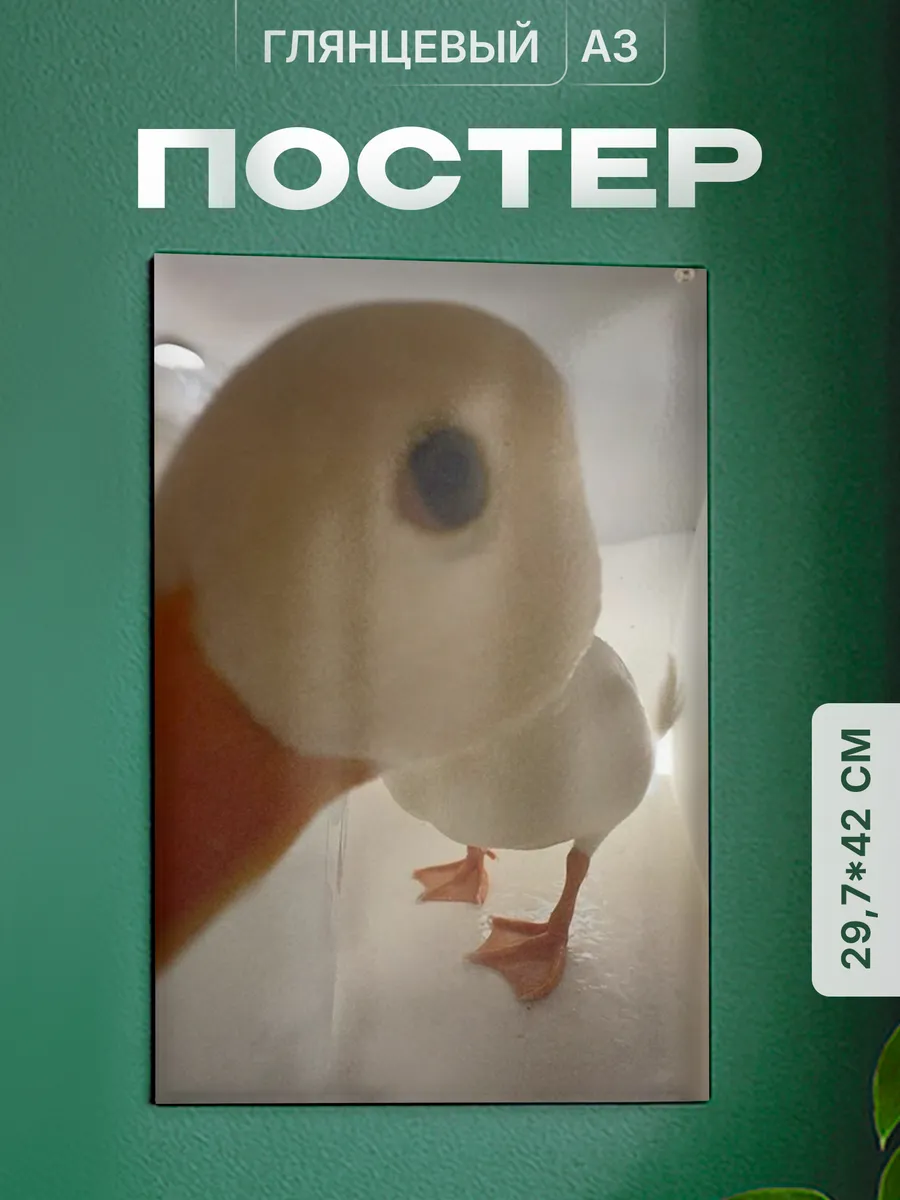 Изображение товара 1 из 4