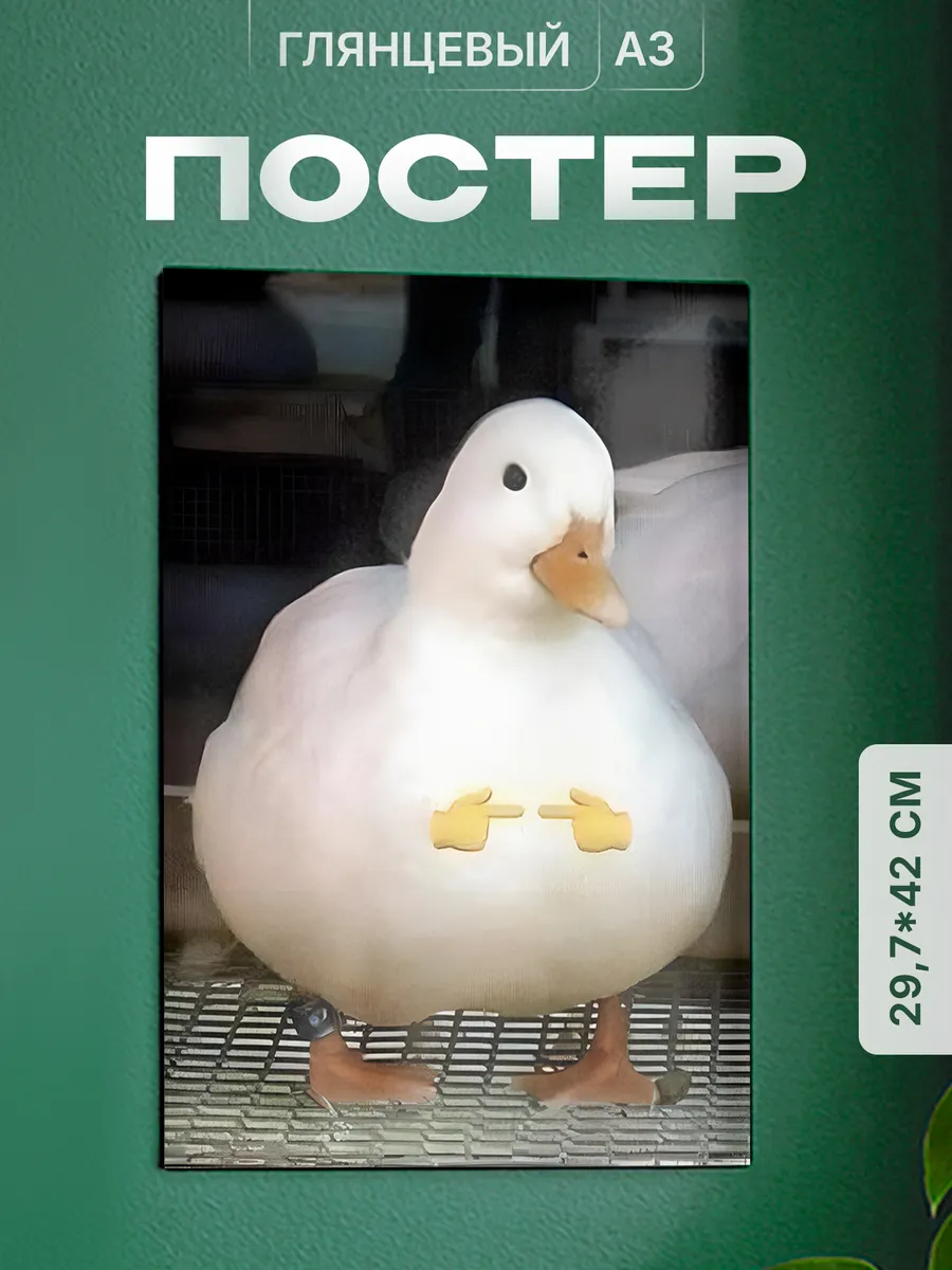 Изображение товара 1 из 4