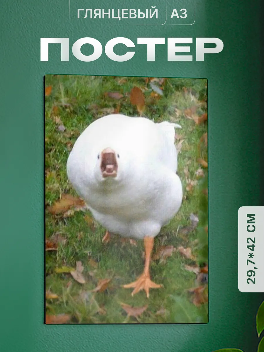 Изображение товара 1 из 4