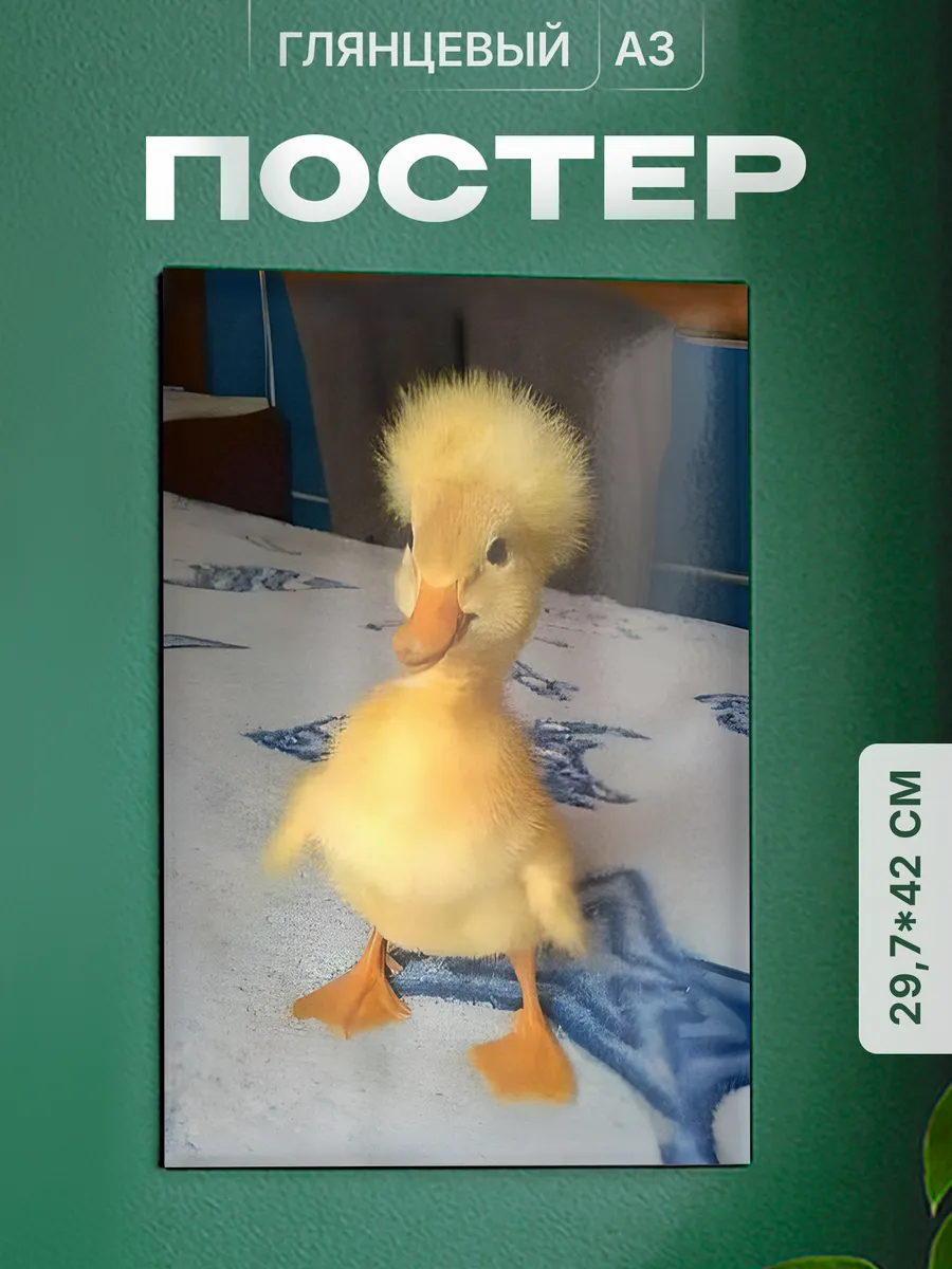 Изображение товара 1 из 4
