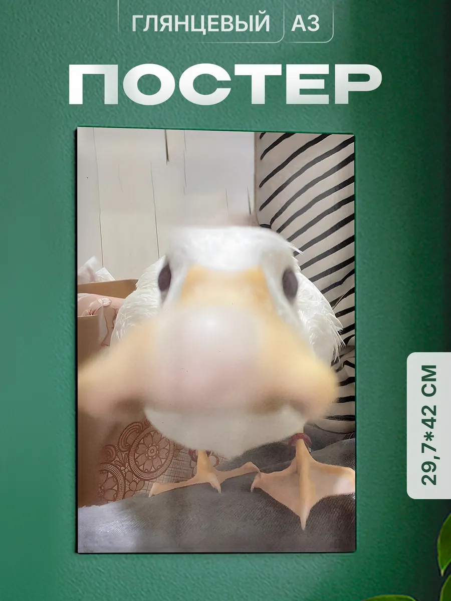 Изображение товара 1 из 4