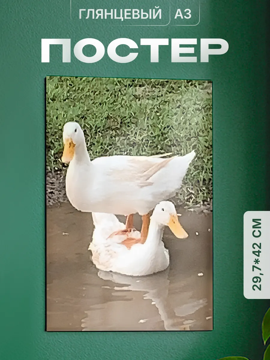 Изображение товара 1 из 4