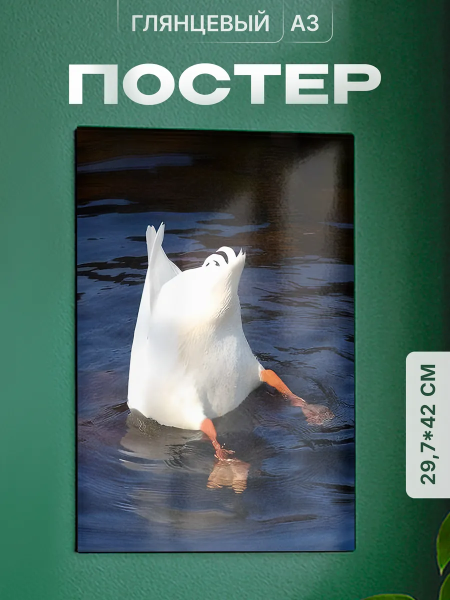 Изображение товара 1 из 4